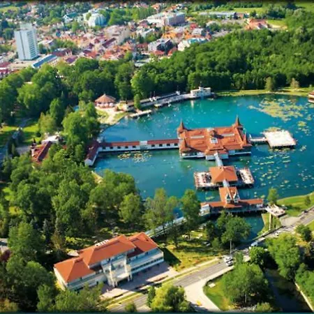 Viragoskert *