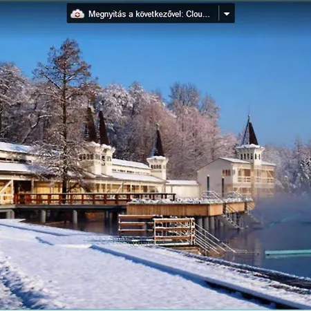 公寓 Viragoskert *